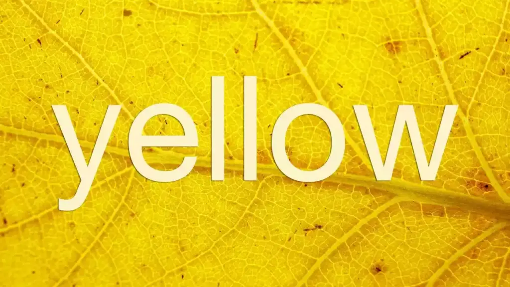 روانشناسی رنگ زرد