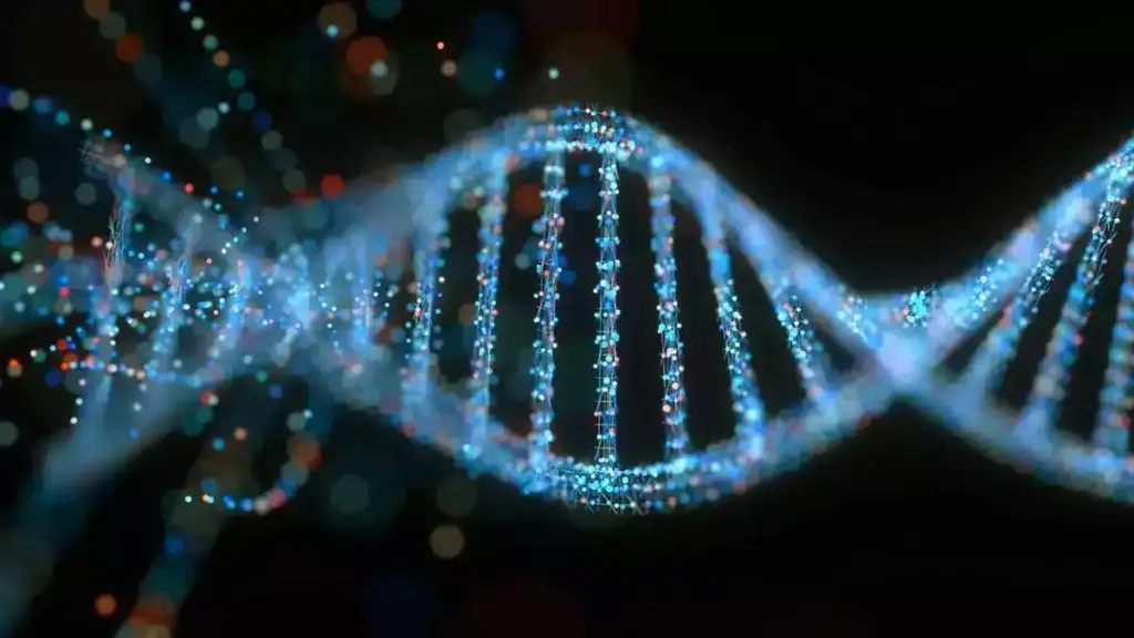 معنا و مفهوم DNA چیست؟