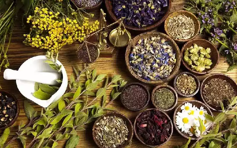 خواص گیاهان: از طب سنتی تا طب مدرن