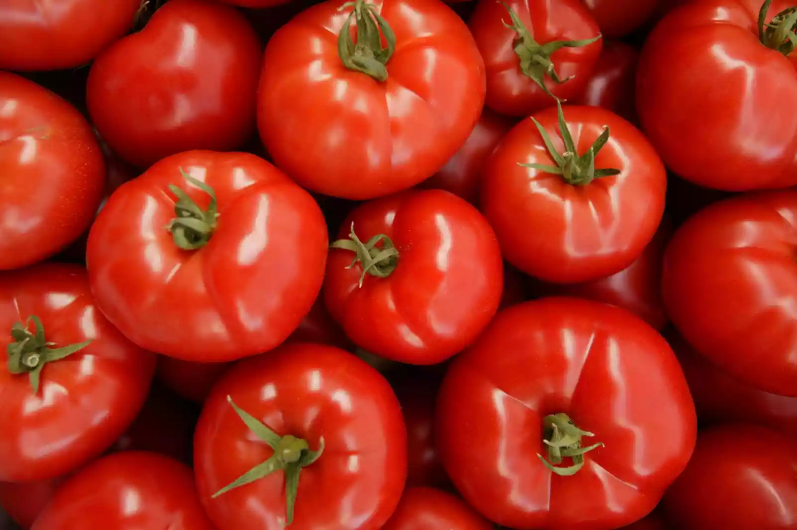 کاهش فشارخون با مصرف روزانه گوجه‌فرنگی