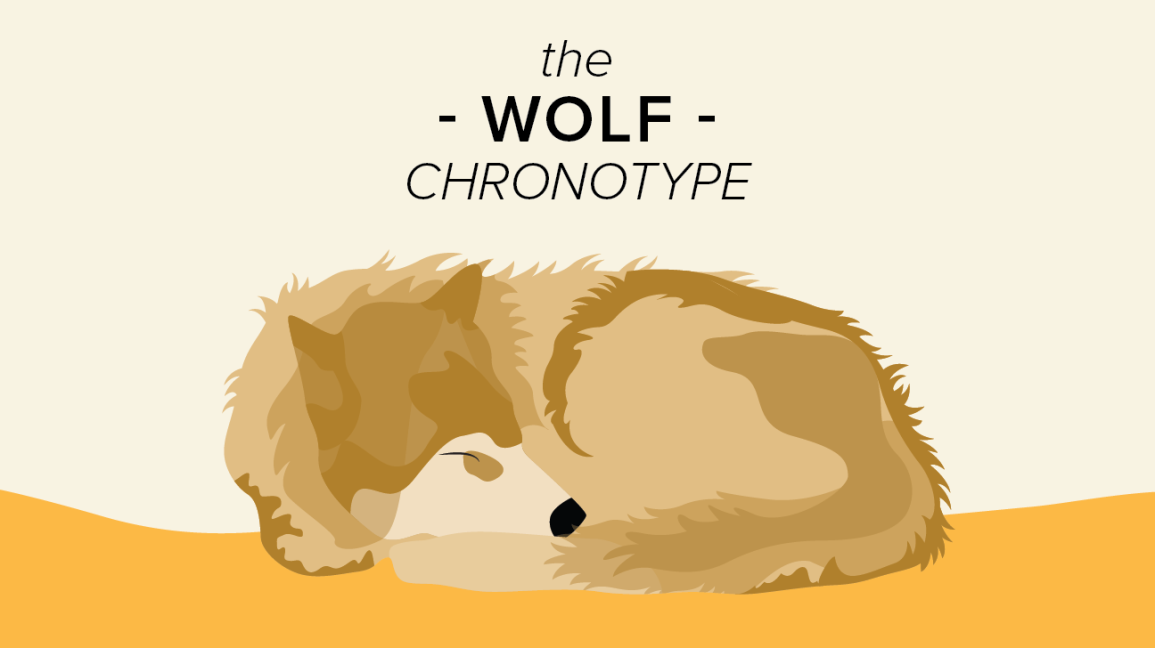 کشف کرونوتایپ خواب شما برای خواب و زندگی بهتر